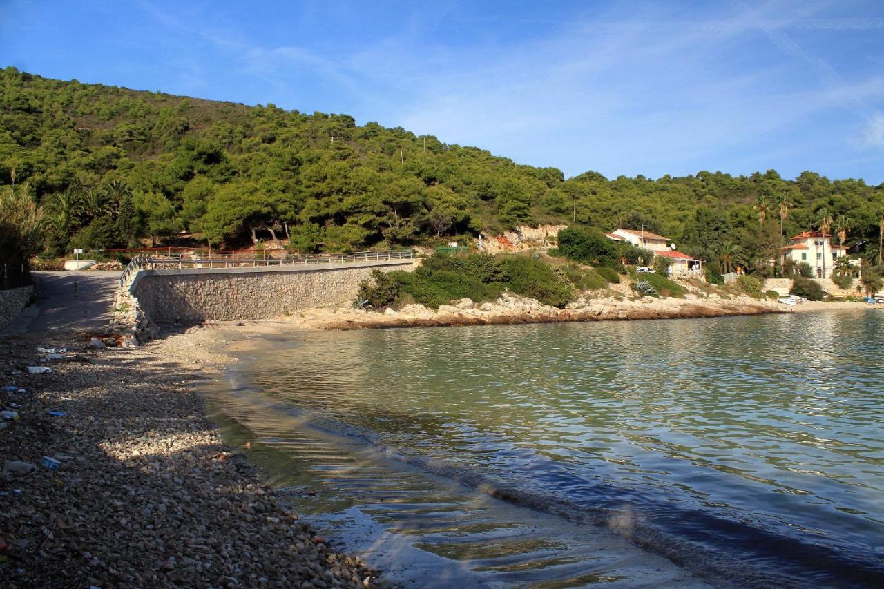 Apartments By The Sea Milna, Vis - 8944 外观 照片