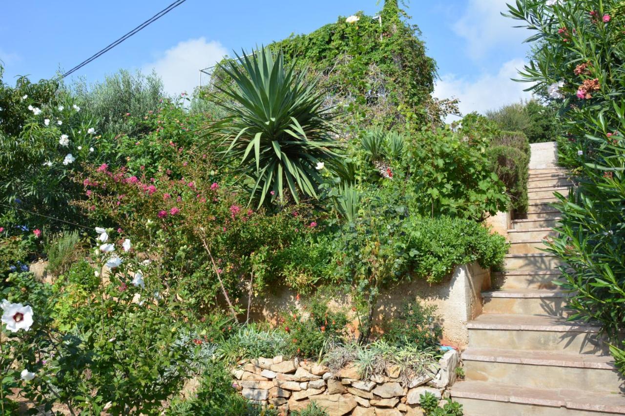 Apartments By The Sea Milna, Vis - 8944 外观 照片